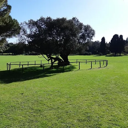 In Pula With Swimming Pool Вилла