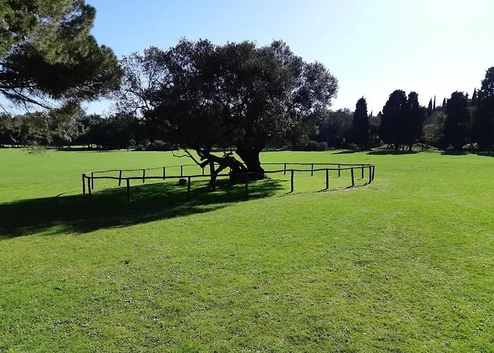 In Pula With Swimming Pool Villa